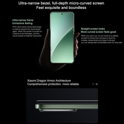 Xiaomi 15 Pro, 16GB+1TB, 6.73 inch Xiaomi HyperOS 2 Snapdragon 8 Elite Octa Core 3nm up to 4.32GHz, NFC, Network: 5G (Grey)