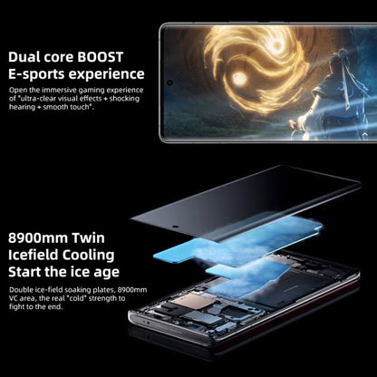 vivo X90 Pro+ 5G, 64MP Camera, 12GB+256GB