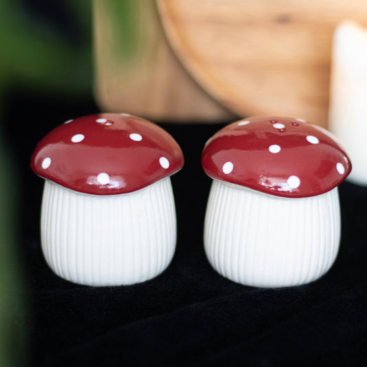 Mushroom Salt and Pepper Shakers giftbox