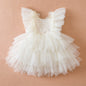 Girls Lace Embroidered Mesh Princess Dress