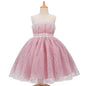 New Girls Gradient Sleeveless Mesh Tulle Tutu Dress