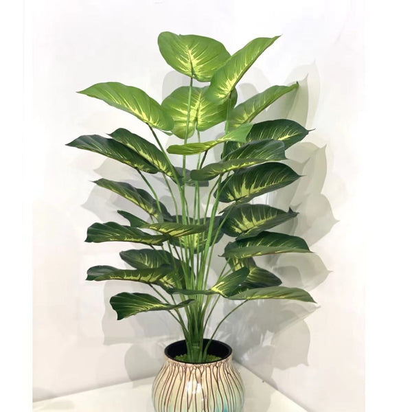 Turtle-Back Green Plant Wall Decor