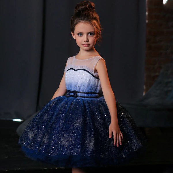 Girls' Gradient Mesh Tulle Tutu Dress