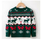 Children's Christmas Deer Sweater Pullover