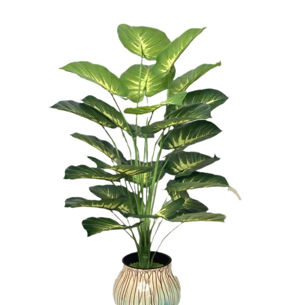 Turtle-Back Green Plant Wall Decor