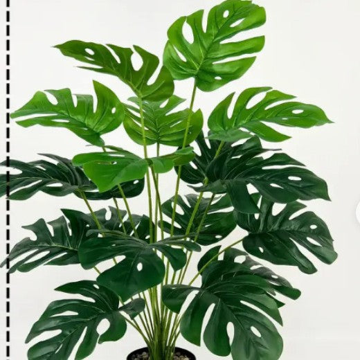 Turtle-Back Green Plant Wall Decor