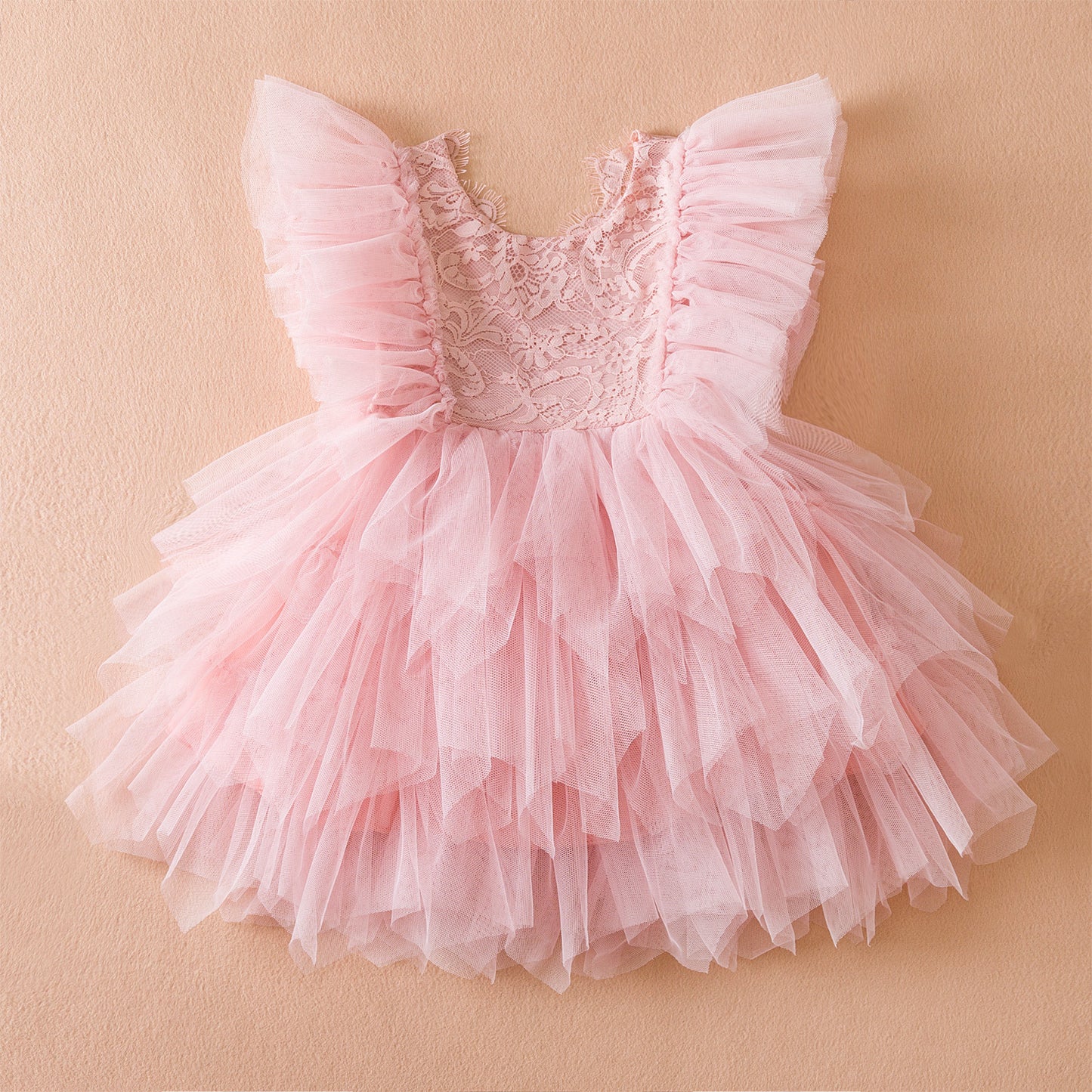 Girls Lace Embroidered Mesh Princess Dress