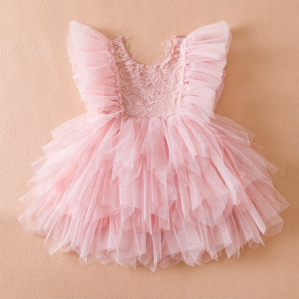 Girls Lace Embroidered Mesh Princess Dress