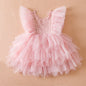 Girls Lace Embroidered Mesh Princess Dress