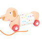 Wooden Children's Leash Snail Trailer Rainbow Building Blocks