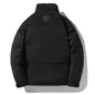Men's Stand-up Collar Down Jacket