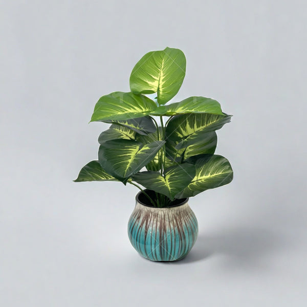 Turtle-Back Green Plant Wall Decor
