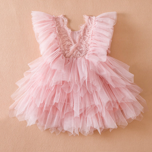 Girls Lace Embroidered Mesh Princess Dress