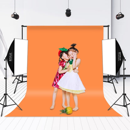 PULUZ Softbox Lighting Kit 2 PCS 50x70cm Professional Photo Studio Photography Light Equipment with 2 x 220V E27 Socket Bulb Photography Lighting Kit(EU Plug)