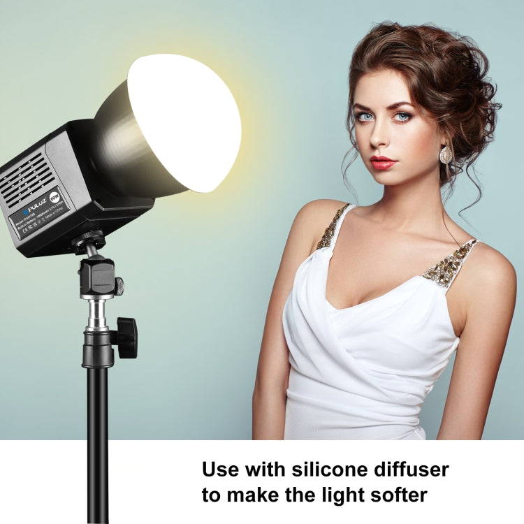 PULUZ 60W Studio Video Light 2500K-6500K Dual Color Temperature Professional Photography Fill Light (Black)