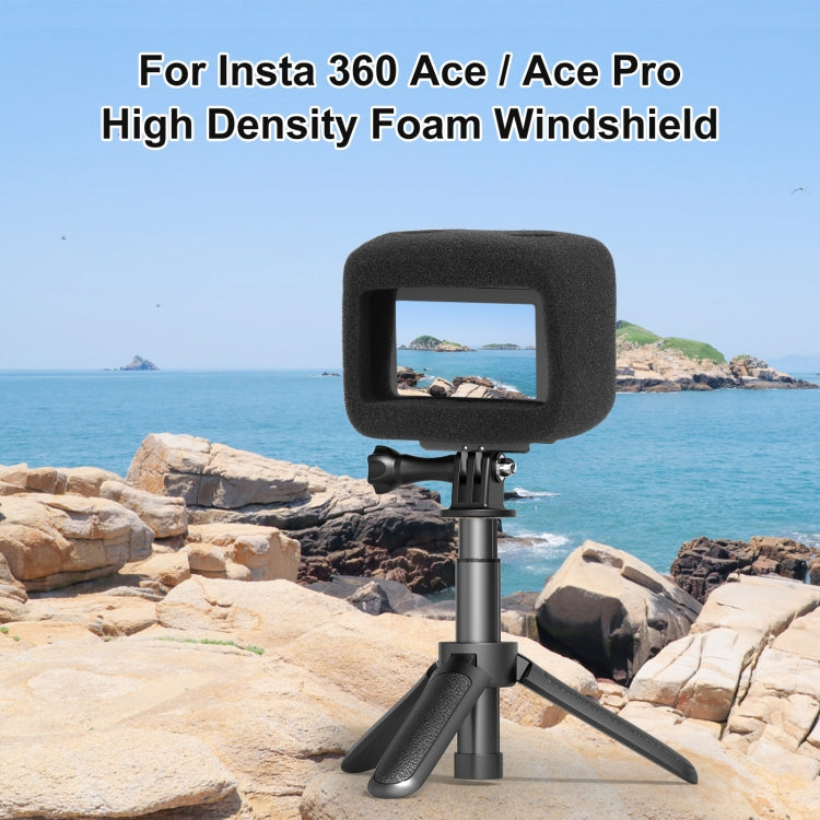 Pour Insta360 Ace Pro / Ace PULUZ Pare-brise en mousse haute densité (Noir)
