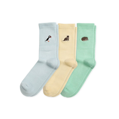 Ribbed Summer Sorbet Collection 3 Pack