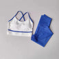 Women's Yoga Set Workout Set 2 Piece High Waist Yoga Leggings Sports Bra Gym Suit Activewear Sports Fitness Set Sports Suit
