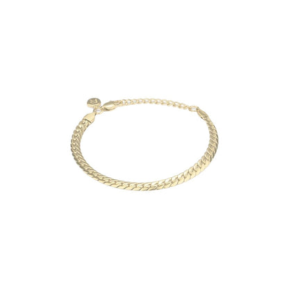 Ladies' Bracelet Radiant RH000227 Golden