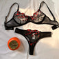 2-Pieces Fancy Sexy Lingerie Set Woman Semi-Sheer Women's Underwear Embroidery Beautiful Bra And Panty Sets Erotic Outfits