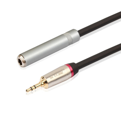 Câble adaptateur audio REXLIS TC128MF mâle 3,5 mm vers femelle 6,5 mm, longueur : 30 cm