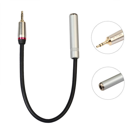 Câble adaptateur audio REXLIS TC128MF mâle 3,5 mm vers femelle 6,5 mm, longueur : 30 cm