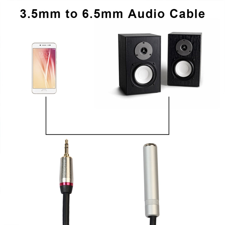 Câble adaptateur audio REXLIS TC128MF mâle 3,5 mm vers femelle 6,5 mm, longueur : 30 cm