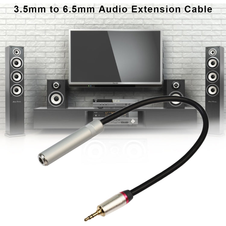 Câble adaptateur audio REXLIS TC128MF mâle 3,5 mm vers femelle 6,5 mm, longueur : 30 cm
