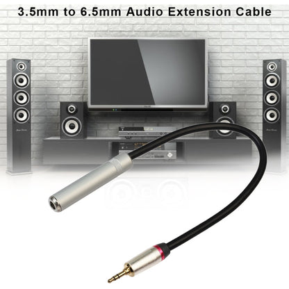 Câble adaptateur audio REXLIS TC128MF mâle 3,5 mm vers femelle 6,5 mm, longueur : 30 cm