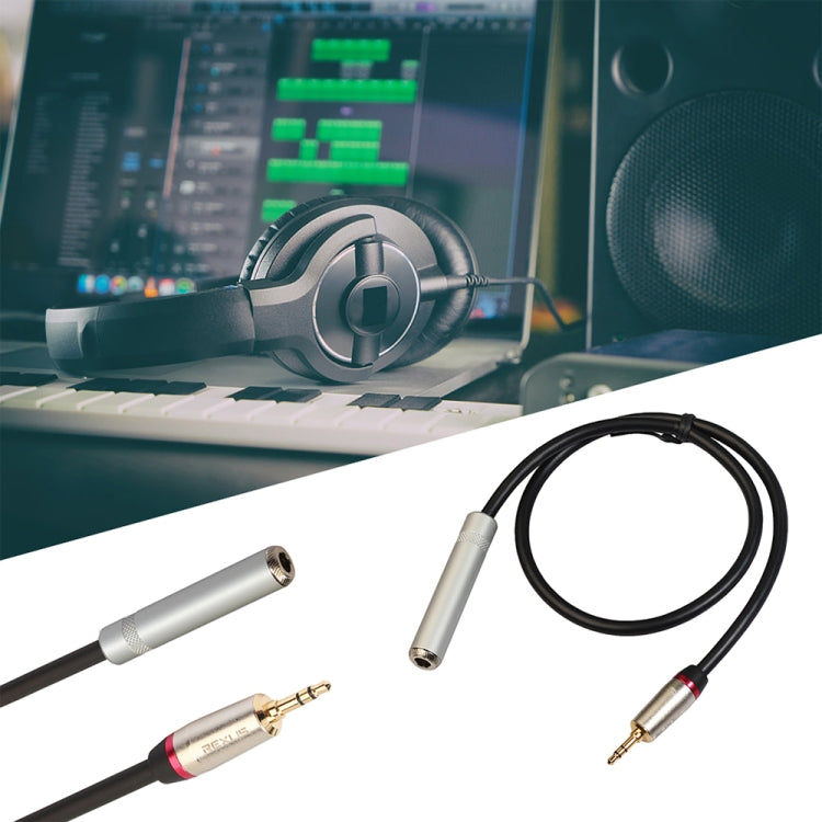 Câble adaptateur audio REXLIS TC128MF mâle 3,5 mm vers femelle 6,5 mm, longueur : 30 cm