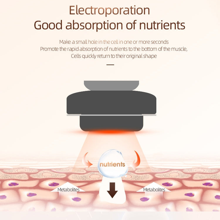K-SKIN OP9910 Masseur Facial Anti-âge Raffermissant RF EMS pour Usage Domestique, Technologie EMS, 3 Niveaux Réglables, Anti-rides