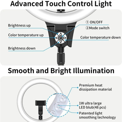 Anneau lumineux vidéo JMARY FM-12R LED de remplissage pour photographie, 12 pouces (prise US)