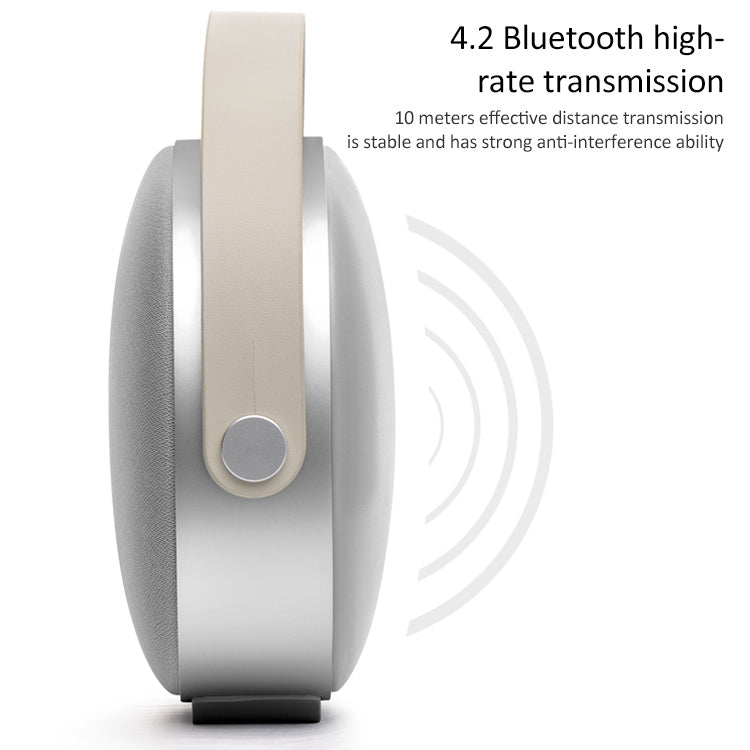 Haut-parleur W-KING T8 HIFI 30 W haute puissance portable Bluetooth sans fil avec radio FM pour haut-parleur Bluetooth mobile (gris argenté)