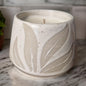 Hesperantha Detail Plant Pot