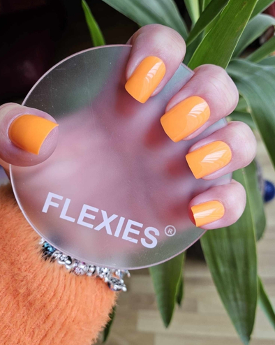 BOGOF Flexies 'Everyday'