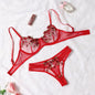 2-Pieces Fancy Sexy Lingerie Set Woman Semi-Sheer Women's Underwear Embroidery Beautiful Bra And Panty Sets Erotic Outfits