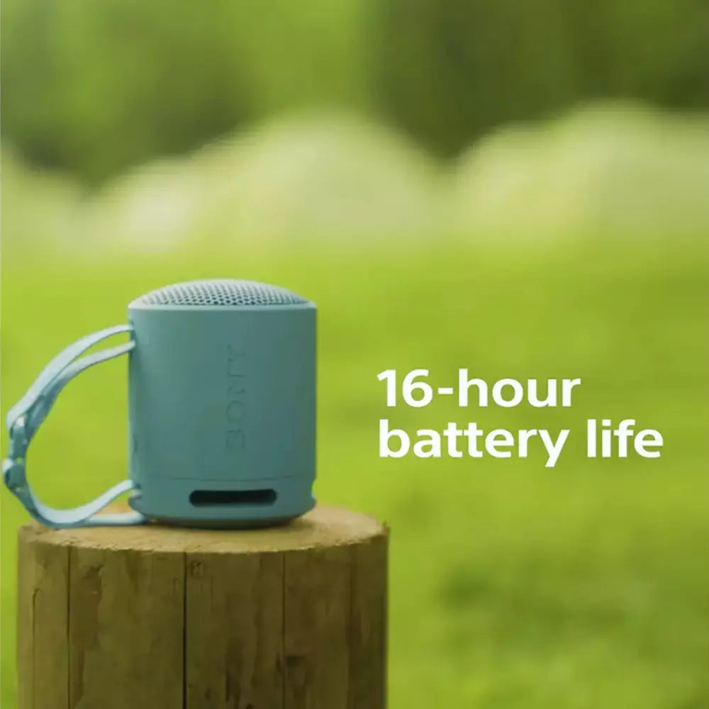 Sony SRS-XB100 Bluetooth Portable Speaker