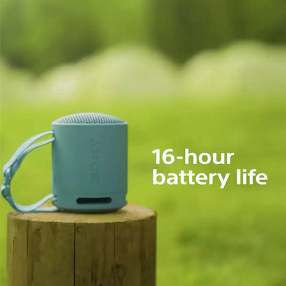 Sony SRS-XB100 Bluetooth Portable Speaker