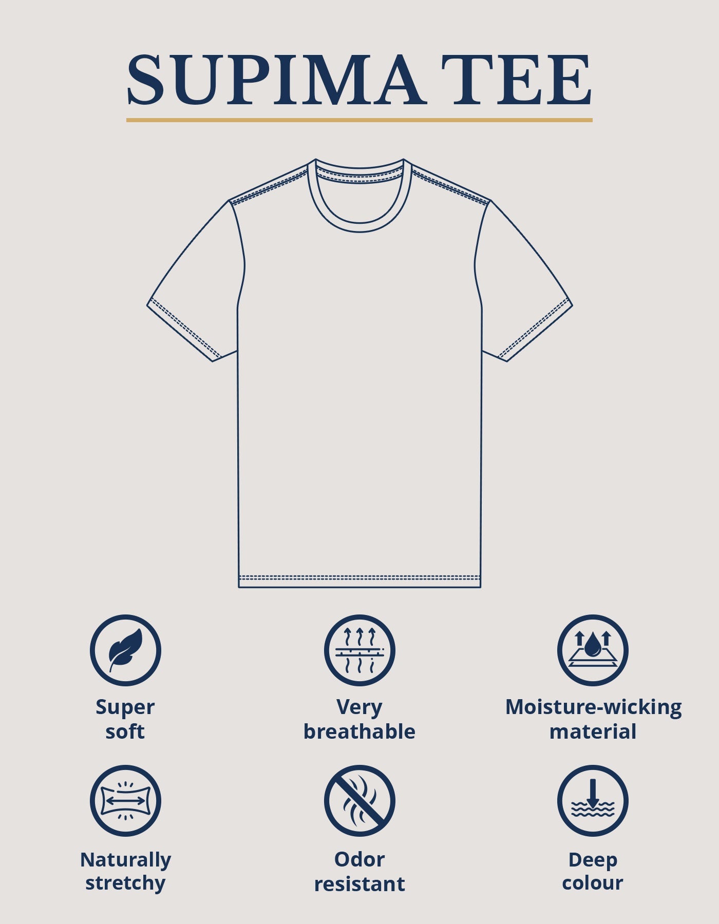 T-shirt pur coton Supima - Olive