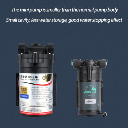 MIUS Simulated Rainfall Rainforest Ecological Mini Spray Atomization Humidification Pump, CN Plug