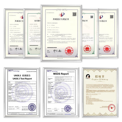 PaiPaitek PD529 Remote Control Dog Training Device Voice Control Anti-Barking Device Dog Training Device(Black)