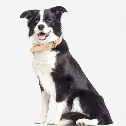 JINMAOHOU Dogs Double-Layer Leather Collar, Specification: XS 34x1.7cm(Purple)