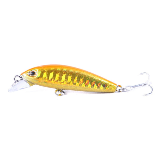 HENGJIA 5.5cm 6.6g Leurre souple Luya coulissant à longue portée Bionic (1)