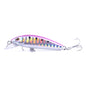 HENGJIA 5.5cm 6.6g Mino Luya Fake Bait Long Casting Sinking Bionic Lure(6)