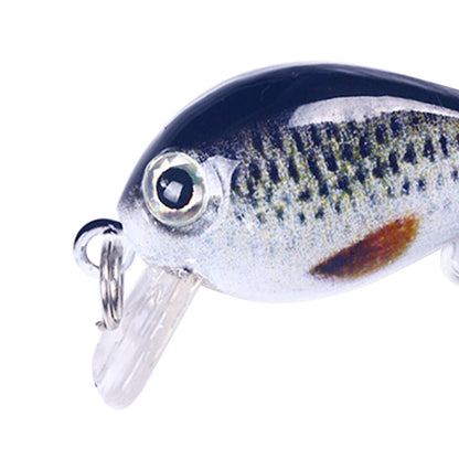 HENGJIA 2.5cm 1.5g Floating Water Little Fat Micro-Object Mini 3D Printing Luya Bait(9)