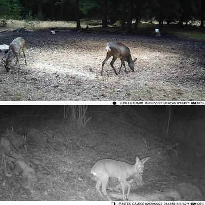 Suntek WiFi830 APP+WiFi 24MP Infrared Tracking Camera Wireless Bluetooth Control