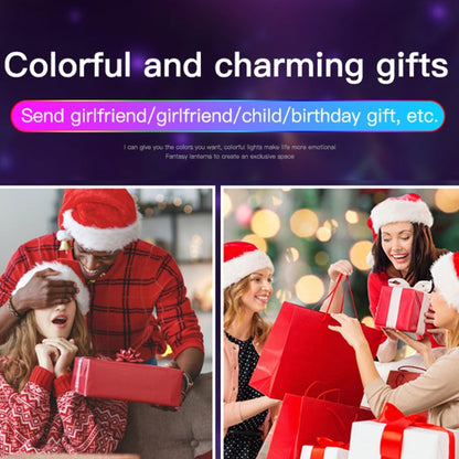 Home LED Magic Ball Lights Bounce Ambient Lamps Room Sound Lights Balls, Color: Charging Model Black(RGB Colorful 5W)