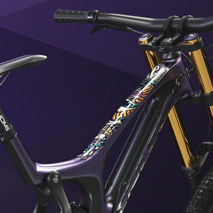ENLEE E-2210 10pcs /Set Bicycle Jersey Stickers Mountain Bike Frame Protection Adhesive Tape, Model: Aurora