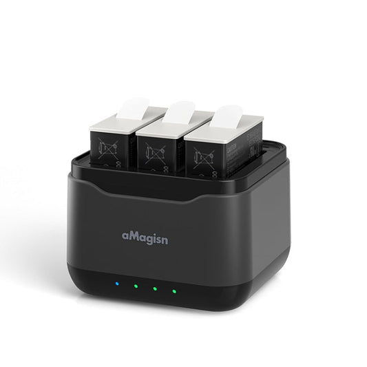 AMagisn Chargeur de Batterie pour GoPro HERO12 Black /11 Black /10 Black /9 Black