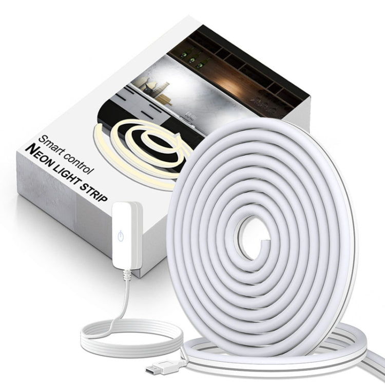 LIXINCORDA 2m 5V USB Touch Control LED Light Strip Flexible Neon Silicone Soft Strip(Blue)